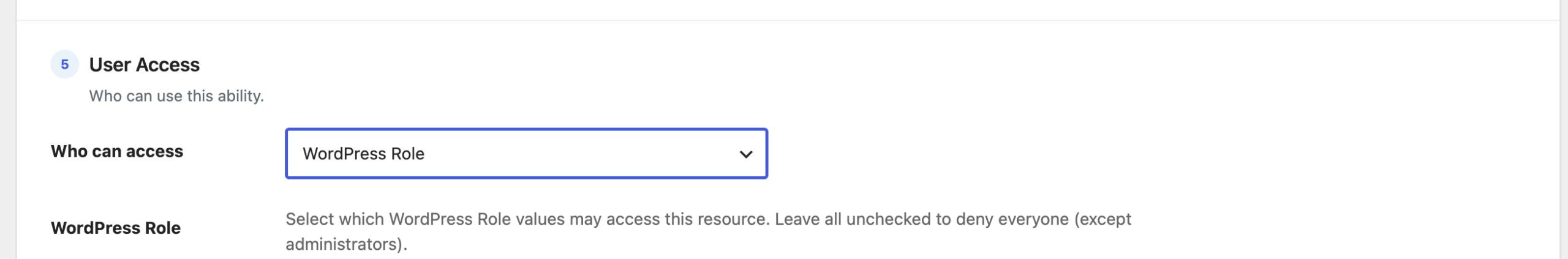 The User Access section with Who can access set to WordPress Role