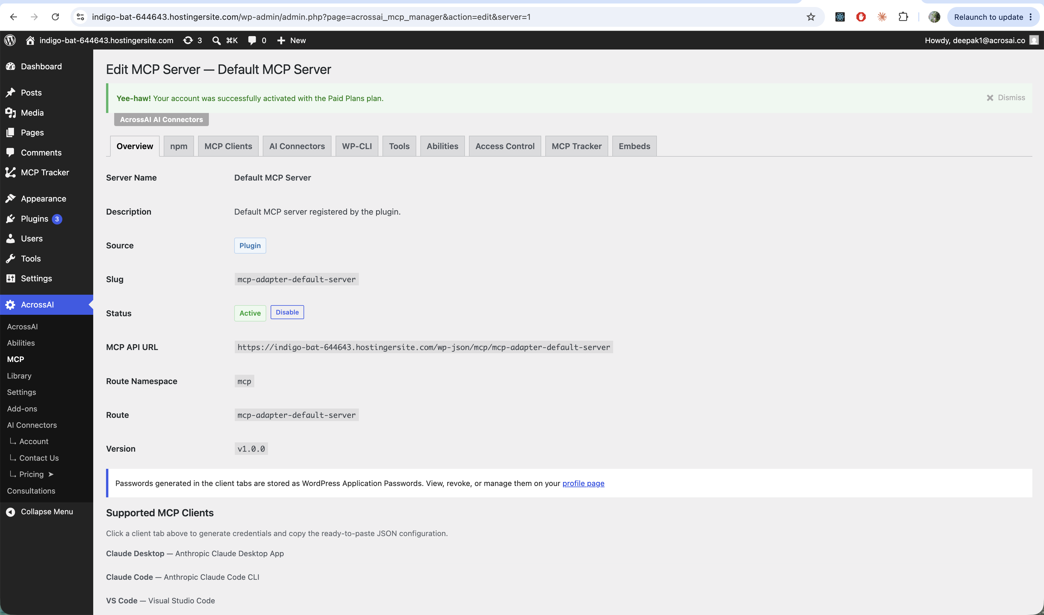 The Overview tab of an MCP server showing its API URL and details