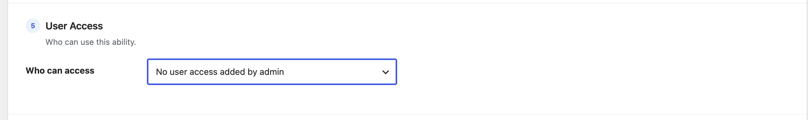The Who can access dropdown set to No user access added by admin