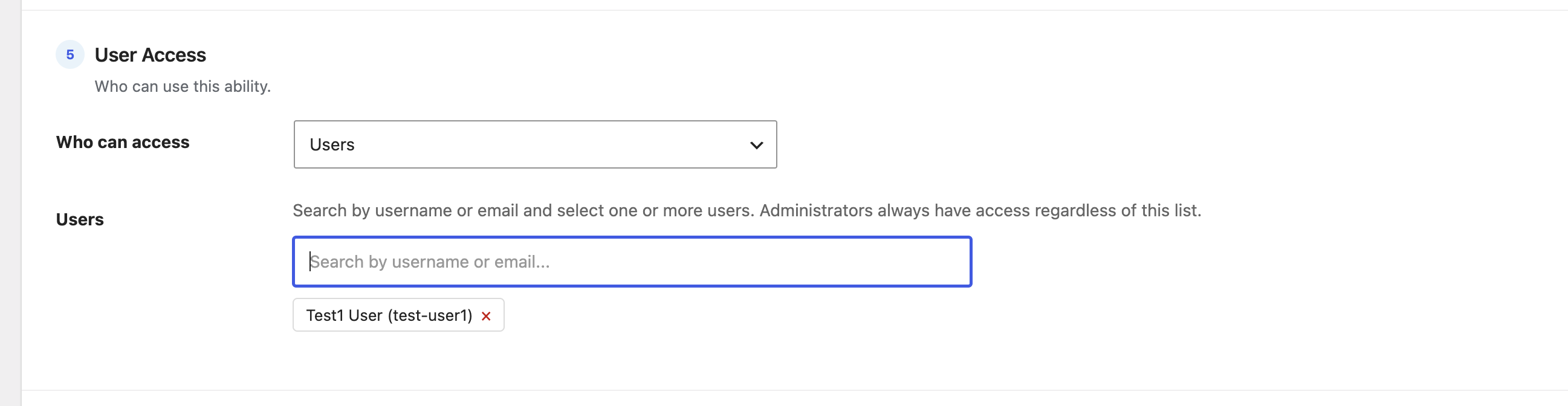 Screenshot 2026 08 03 at 13.40.11 The Users option with a search-by-username-or-email field and a selected user tag