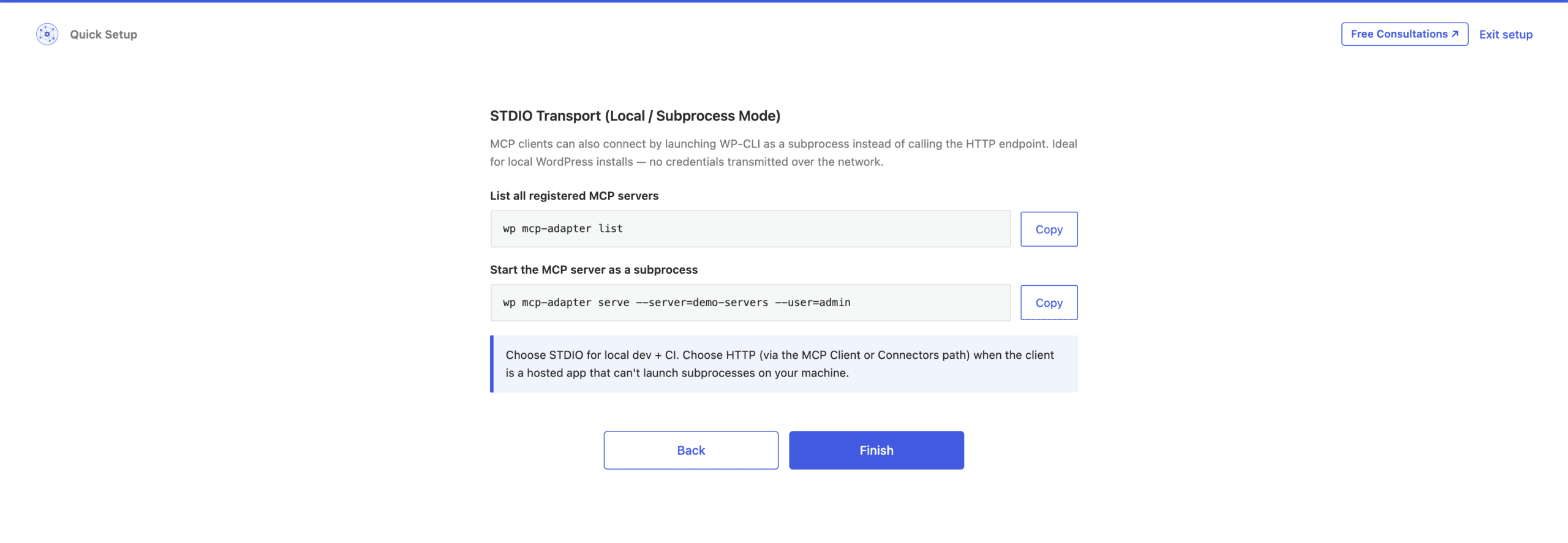The WP-CLI step showing the mcp-adapter list and serve commands for STDIO transport